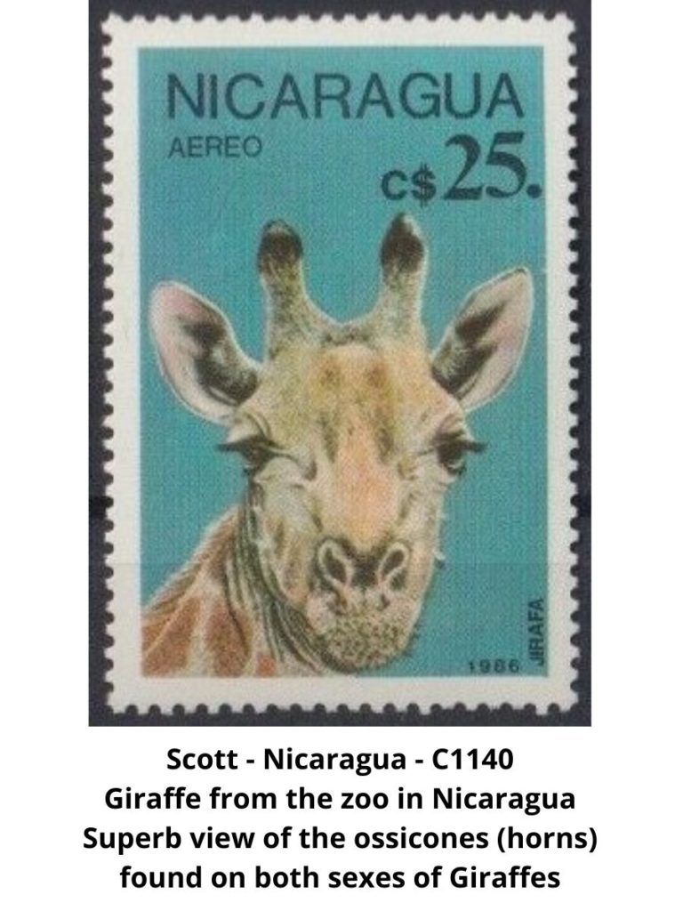 Giraffe on a Postage Stamp