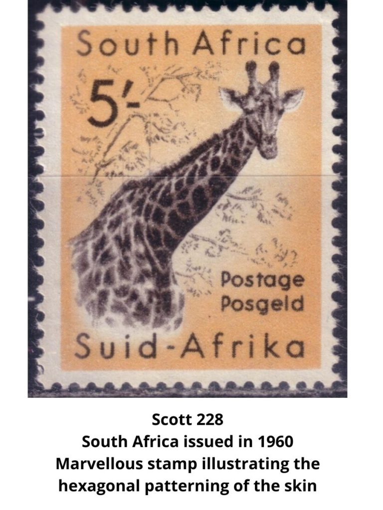 Giraffe on a Postage Stamp